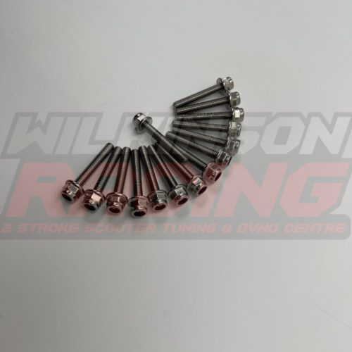 Wilkinson Racing Stainless Steel Transmission Case Stud & Flange Nut Kit Gilera/Piaggio