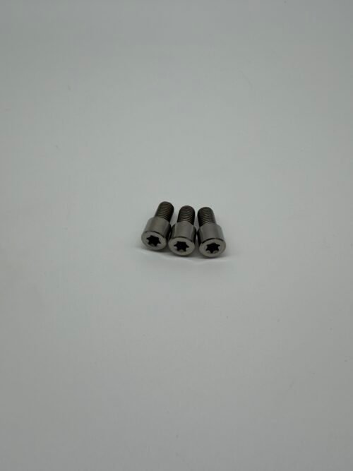 Wilkinson Racing Lambretta Titanium Torx Rear Lock Plate Screw – Sold Individually